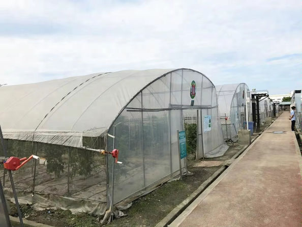 (مات تشارلتون)