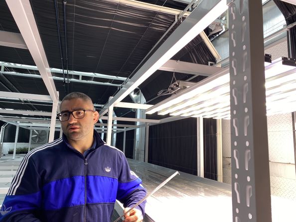 (برودريك فانيرنام)