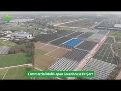 النفق الفلم البلاستيكي متعددة الفترة الزراعية الخضروات المزروعة الدفيئة