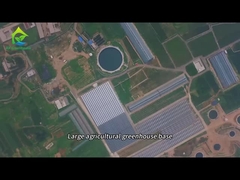 قاعدة زراعة البيوت البلاستيكية الزراعية الكبيرة