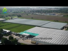 صوبة زجاجية ذكية بالكامل لزراعة الطماطم والفلفل