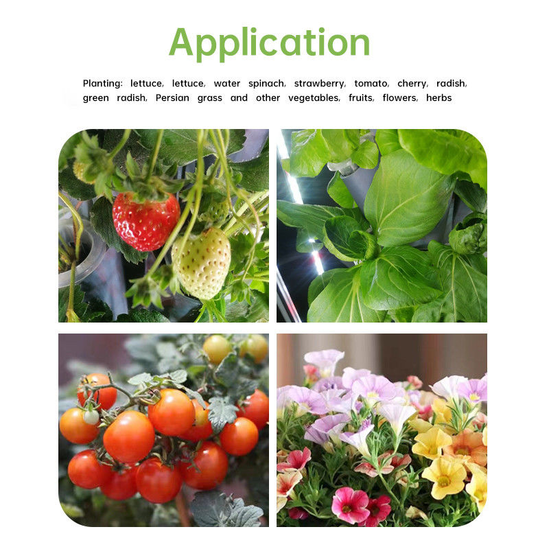 استخدام منزلي حديقة بتال نظام زراعة البرج الهيدروبونيكي 6/8/10 طبقات ضوء LED اختيارية