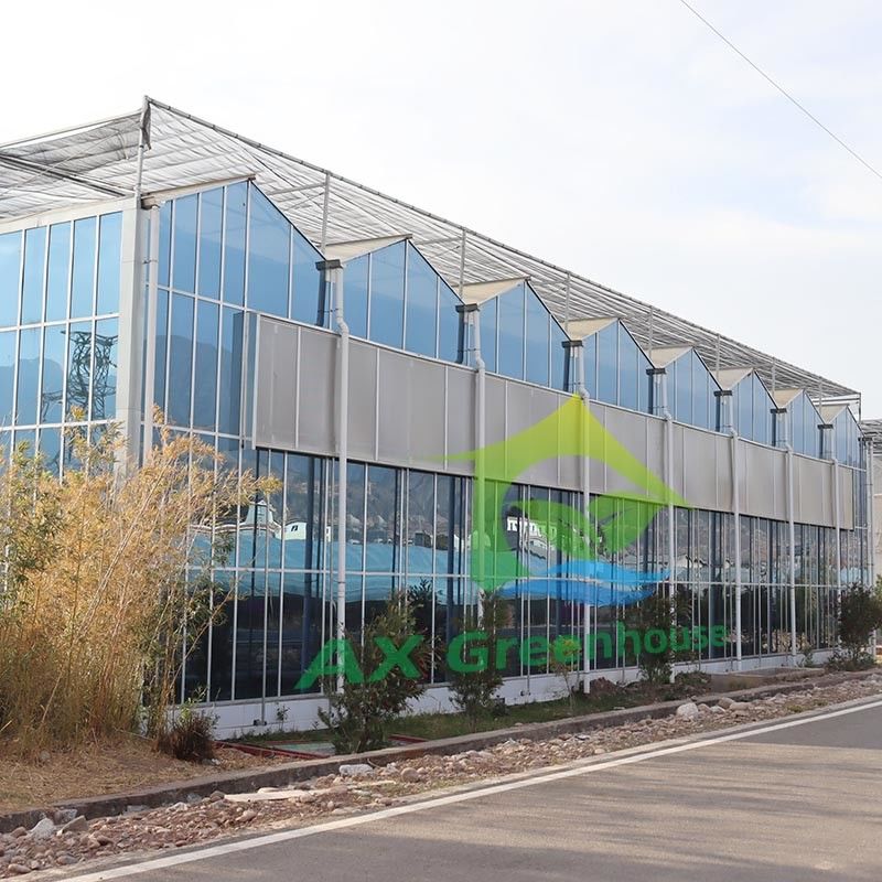 الصوبات الزراعية الزجاجية من نوع فينو، ألواح زجاجية مقسّاة، إطار فولاذي مجلفن لزراعة الخيار
