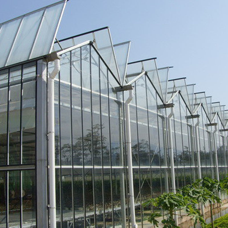 التهوية التلقائية الزراعية الزجاجي فينلو النفق الكبير الدفيئة الطماطم مع نظام التبريد وسكة نظام المروحة