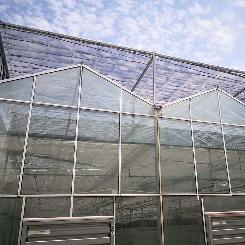 التهوية التلقائية الزراعية الزجاجي فينلو النفق الكبير الدفيئة الطماطم مع نظام التبريد وسكة نظام المروحة