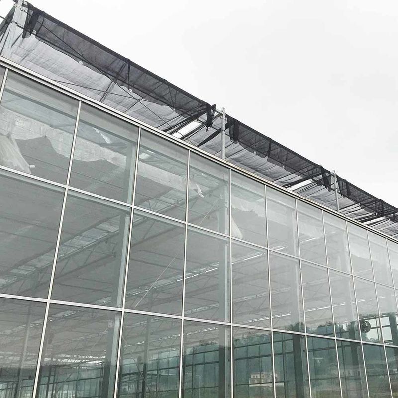 دفيئة زراعية متعددة الامتدادات لزراعة الزهور من نوع فينو لزراعة البذور بالزجاج