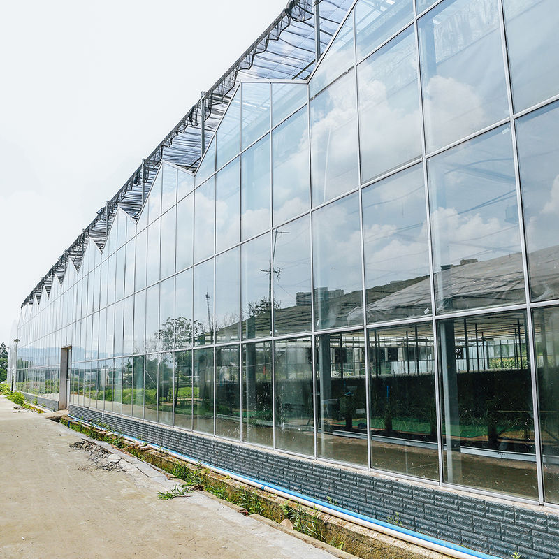 دفيئة زراعية متعددة الامتدادات لزراعة الزهور من نوع فينو لزراعة البذور بالزجاج