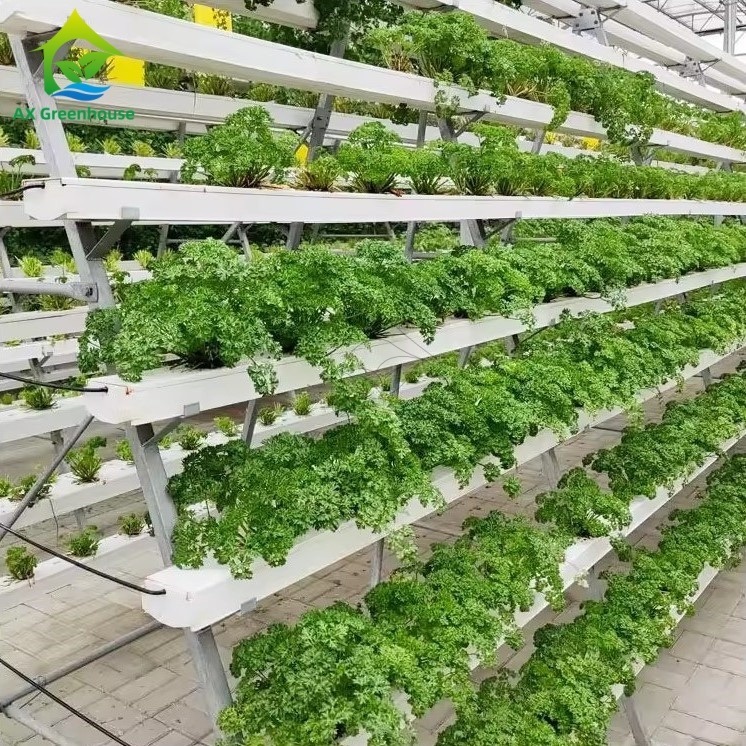 نظام الزراعة بدون تربة في الدفيئة A-frame تقنية الفيلم الغذائي NFT Channel زراعة الخضروات الفعالة