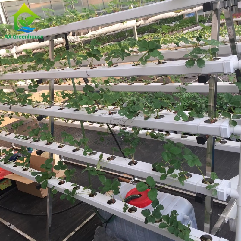 نظام الزراعة بدون تربة في الدفيئة A-frame تقنية الفيلم الغذائي NFT Channel زراعة الخضروات الفعالة