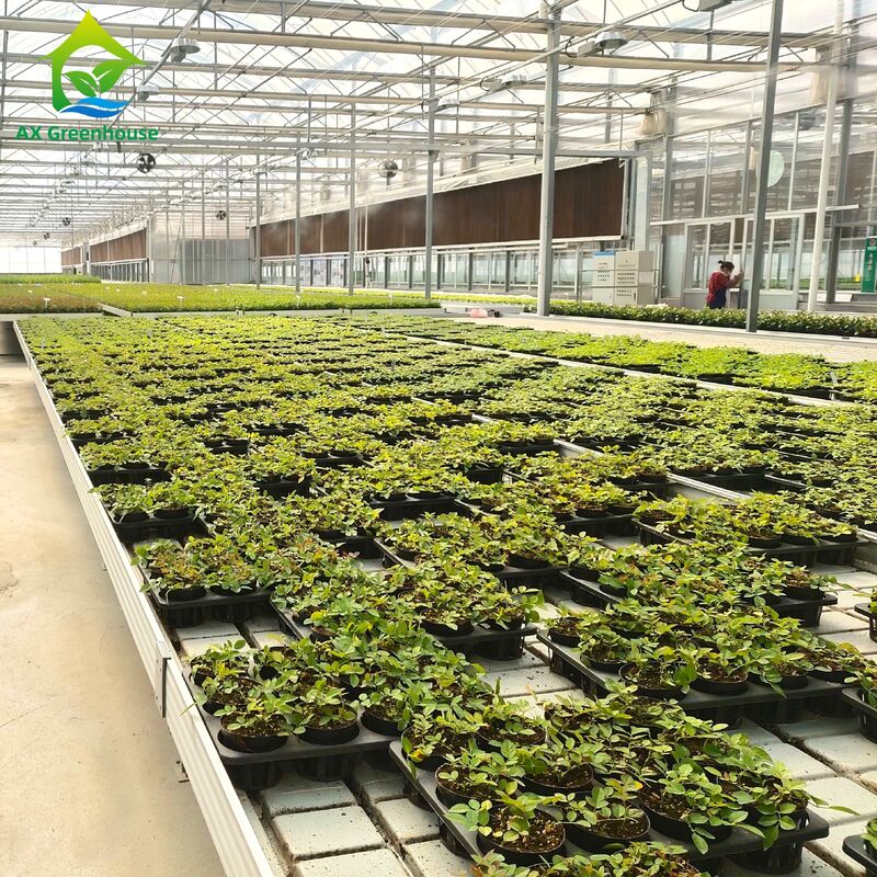 طاولة تدفق وتدفق تجارية بإطار من الألومنيوم مع ارتفاع قابل للتعديل وصينية PP/ABS مدمجة لبيوت الزراعة