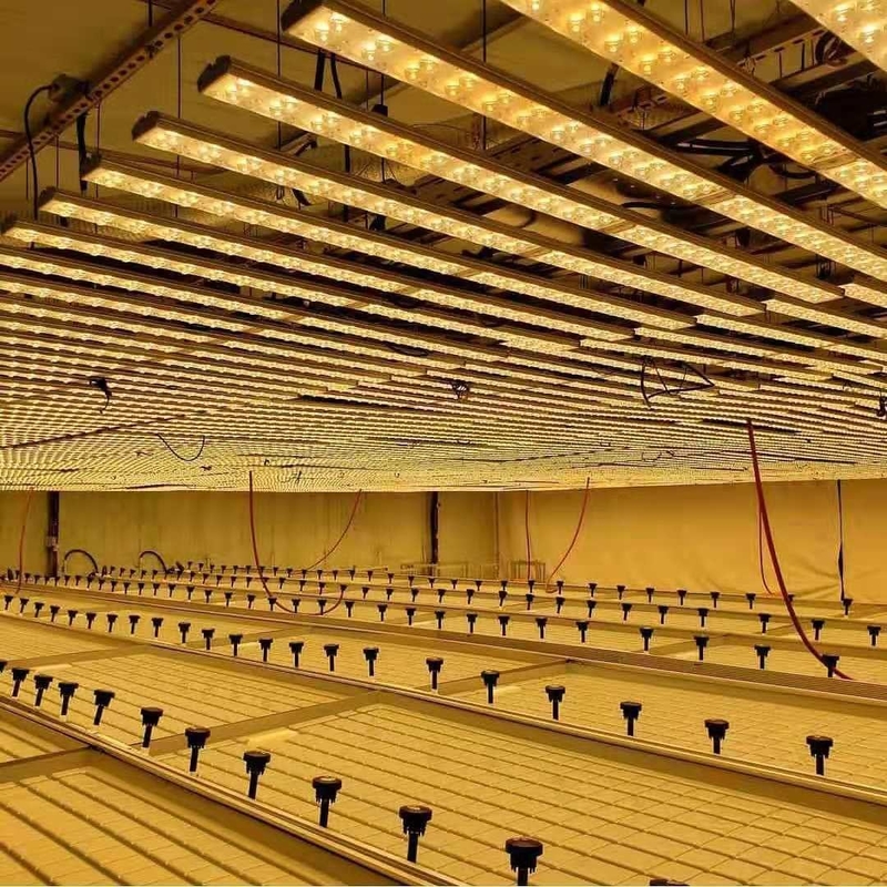 منضدة دوارة للبيوت المحمية بعرض 0.71-1.78 م جدول الجزر والفيضانات المائية المتدفقة