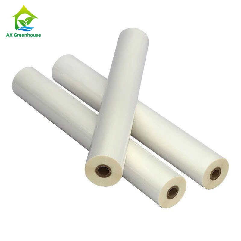 0.1-0.2mm PE PO غطاء بلاستيك الدفيئة عالية النفاذية بولي فيلم الدفيئة
