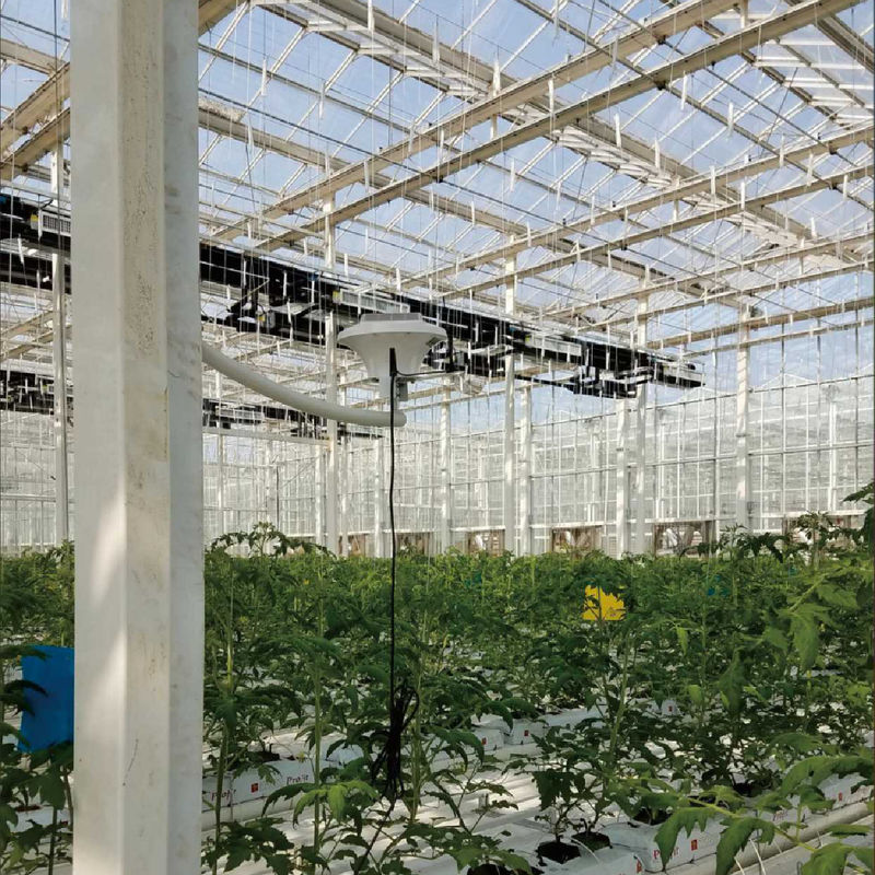 نظام مراقبة البيوت الزجاجية الذكي مع طاقة 220 فولت تيار متردد ومقياس تركيز ثاني أكسيد الكربون 0-50000 جزء في المليون للتحكم الأمثل في المناخ