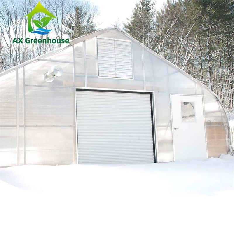 من السهل تجميع الشفافة ورقة بي سي الدفيئة مع حجم مخصص وإطار الفولاذ المغلفة الساخنة