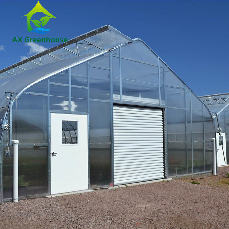 الدفيئة متعددة الجدران البوليكربوناتية متعددة الجدران مثالية للخضروات الشتلات الزهور الزراعة في الفناء الخلفي