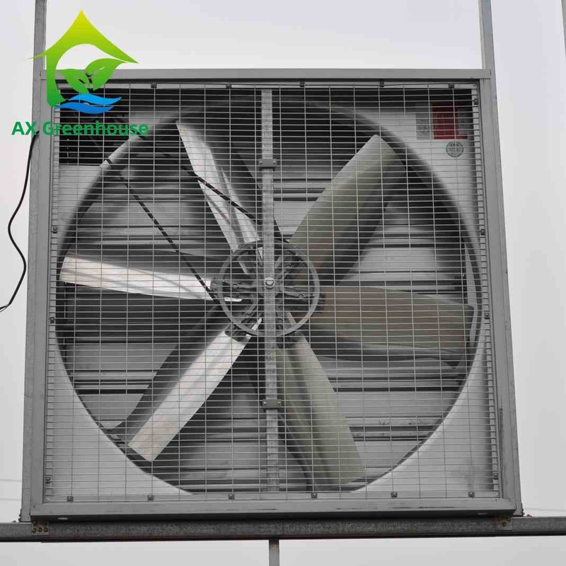 Dia 500-1250mm Blade Wet Wall Exhaust Fans Industrial Wall Mounted مراوح النازع