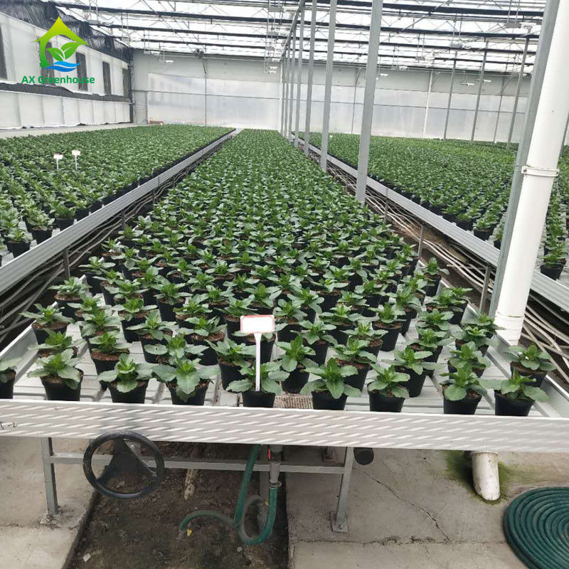 مقاعد دفيئة مستقرة وصديقة للبيئة قابلة للتدحرج مع صفائح بلاستيكية ABS وإطار من سبائك الألومنيوم بأحجام قابلة للتخصيص